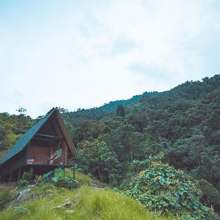 Ecolodge Cuentos De Agua Villamaría المظهر الخارجي الصورة