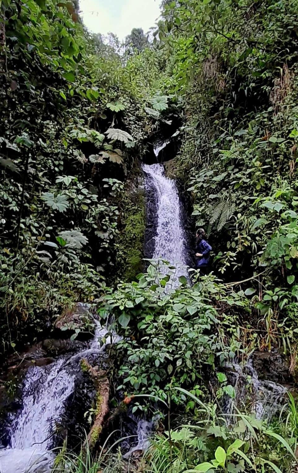 Ecolodge Cuentos De Agua Villamaría المظهر الخارجي الصورة